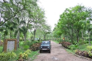 राजधानी के समीप प्राकृतिक वन संपदा से परिपूर्ण; इंदिरा प्रियदर्शनी नेचर सफारी मोहरेंगा बन रहा है  पर्यटकों के आकर्षण का केन्द्र