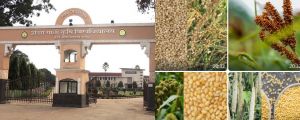  इंदिरा गांधी कृषि विश्वविद्यालय का 37वां स्थापना दिवस मनाया जाएगा 20 जनवरी को