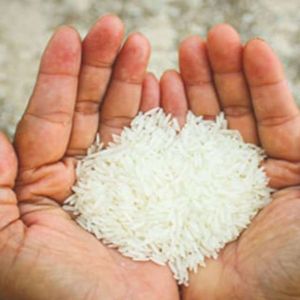 सरकारी उचित मूल्य की दुकानों पर अप्रैल महीने से फोर्टिफाइड चावल का वितरण 