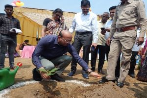 मुख्यमंत्री बघेल ने वृक्ष संपदा योजना का किया वर्चुअल शुभारंभ, पांच एकड़ रकबे में लगाए गये टिशु कल्चर सागौन के पौधे