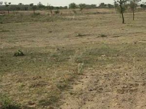 ग्रामीण एवं कुटीर औद्योगिक क्षेत्रों की स्थापना हेतु लीज पर  दी जाएगी भूमि