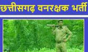 वनरक्षक भर्ती: शारीरिक मापजोख-दक्षता परीक्षा 22 मई से प्रारंभ