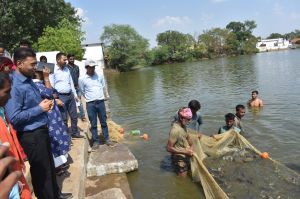 कलेक्टर ने किया ग्राम कांदुल के मत्स्य विभाग के योजना से लाभान्वित हितग्राहियों से चर्चा 