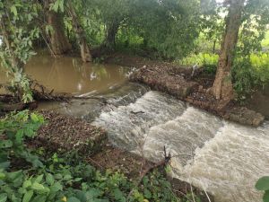 डौण्डीलोहारा विकासखण्ड के किल्लेकोड़ा नाला को आदर्श नाला के रूप में किया गया चयन