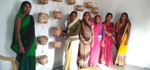 सफलता की कहानी  :  10 क्विंटल मशरूम का उत्पादन कर पुरई गौठान की स्व सहायता समूह की दीदियों ने कमाए 3 लाख