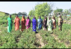  सफलता की कहानी::गौठानों से स्व सहायता समूह की महिलाएं बन रही सक्षम