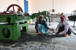  रीपा से बदल रही गांव और ग्रामीणों की तकदीर, गांव अब उत्पादक केन्द्र बनने की ओर अग्रसर