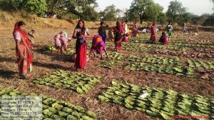  ‘तेंदूपत्ता संग्रहण 500 करोड़ रूपए से पार: संग्राहकों में बिखरी खुशियां अपार‘‘ 
