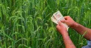  किसानों को 2447 करोड़ रूपए से अधिक का कृषि ऋण वितरित