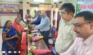 रायपुर बनेगा पपीता उत्पादक जिला रायपुर बनेगा पपीता उत्पादक जिला