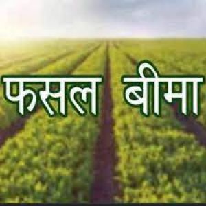 अधिसूचित फसलों का बीमा करवाने की अंतिम तिथि 31 जुलाई तक अधिसूचित फसलों का बीमा करवाने की अंतिम तिथि 31 जुलाई तक