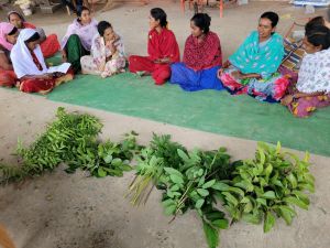 महिलाएं गौठानों में ब्रम्हास्त्र तैयार कर 64 हजार 950 रूपए की आमदनी