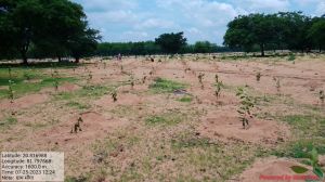 महानदी को संजीवनी देंगे 66 हजार पौधे, मिशन मोड पर लगाये जा रहे पौधे महानदी को संजीवनी देंगे 66 हजार पौधे, मिशन मोड पर लगाये जा रहे पौधे