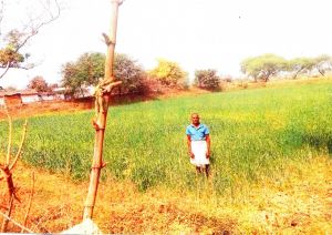  शासन की योजनाओं का लाभ लेकर कम लागत में किसान कर रहे फसलों की अच्छी पैदावार