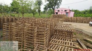 रीपा से जुड़कर युवा हो रहे सफल रीपा से जुड़कर युवा हो रहे सफल