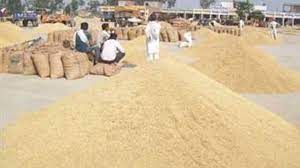 आगामी खरीफ सीजन में राज्य के किसानों से खरीदा जाएगा प्रति एकड़ 20 क्विंटल धान