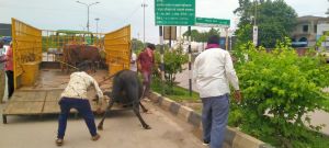भिलाई निगम क्षेत्र में चलाया जा रहा है रोका छेका अभियान भिलाई निगम क्षेत्र में चलाया जा रहा है रोका छेका अभियान