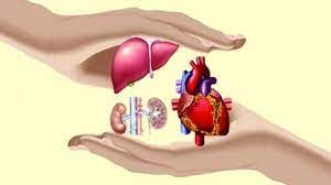 अंगदान के प्रति लोगों को जागरूक करने 3 अगस्त को मनाया जाएगा अंगदान महोत्सव अंगदान के प्रति लोगों को जागरूक करने 3 अगस्त को मनाया जाएगा अंगदान महोत्सव