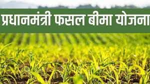 खरीफ वर्ष 2023 के लिए प्रधानमंत्री फसल बीमा की अंतिम तिथि बढ़कर अब 16 अगस्त तक खरीफ वर्ष 2023 के लिए प्रधानमंत्री फसल बीमा की अंतिम तिथि बढ़कर अब 16 अगस्त तक