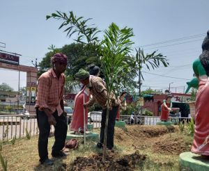 पौधारोपण अभियान, 58 दिनों में पांच हज़ार तीन सौ से ज्यादा पौधे लगाए गए पौधारोपण अभियान, 58 दिनों में पांच हज़ार तीन सौ से ज्यादा पौधे लगाए गए