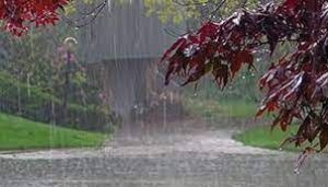 जिले में अब तक 499.1 मि.मी. औसत वर्षा दर्ज