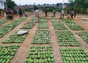 विश्व आदिवासी दिवस: वन विभाग द्वारा 500 करोड़ रूपए का होगा वितरण विश्व आदिवासी दिवस: वन विभाग द्वारा 500 करोड़ रूपए का होगा वितरण