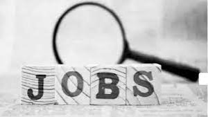  17,18,19,22 और 23 अगस्त को प्लेसमेंट कैंप तथा स्वरोजगार मेले का होगा आयोजन