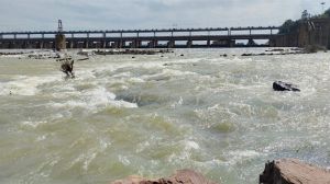 बरसात थमे एक सप्ताह बीता नहीं गंगरेल से डिस्चार्ज बढ़ाने की मांग शुरू,सिंचाई मंत्री को सौंपेंगे ज्ञापन बरसात थमे एक सप्ताह बीता नहीं गंगरेल से डिस्चार्ज बढ़ाने की मांग शुरू,सिंचाई मंत्री को सौंपेंगे ज्ञापन