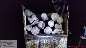 वन विभाग टीम की कार्यवाही में भारी मात्रा में सागौन लकड़ी और वाहन जप्त वन विभाग टीम की कार्यवाही में भारी मात्रा में सागौन लकड़ी और वाहन जप्त