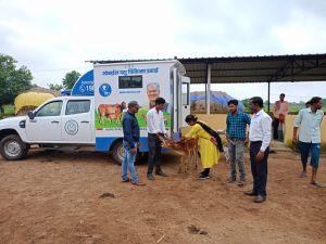 इंसानों की तरह पशुओं को भी घर पहुंच ईलाज की सुविधा शुरू इंसानों की तरह पशुओं को भी घर पहुंच ईलाज की सुविधा शुरू