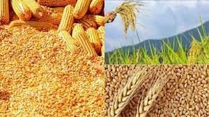 समर्थन मूल्य पर धान एवं मक्का उपार्जन हेतु किसानों का पंजीयन 31 अक्टूबर तक समर्थन मूल्य पर धान एवं मक्का उपार्जन हेतु किसानों का पंजीयन 31 अक्टूबर तक