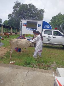 जिले में मोबाईल वेटनरी यूनिट सेवा शुरू, लाखों पशुपालक होंगे लाभान्वित जिले में मोबाईल वेटनरी यूनिट सेवा शुरू, लाखों पशुपालक होंगे लाभान्वित
