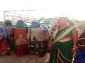 गोधन न्याय योजना से जय सतनाम स्व सहायता समूह की महिलाओं को मिल रहा अतिरिक्त आय गोधन न्याय योजना से जय सतनाम स्व सहायता समूह की महिलाओं को मिल रहा अतिरिक्त आय