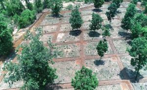 नरवा विकास : वन क्षेत्रों में 30-40 मॉडल के लगभग 2 लाख संरचनाओं का हो रहा निर्माण नरवा विकास : वन क्षेत्रों में 30-40 मॉडल के लगभग 2 लाख संरचनाओं का हो रहा निर्माण