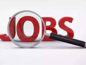 831 से अधिक पदों के लिए 02 सितम्बर को विशेष मेगा प्लेसमेंट ड्राइव