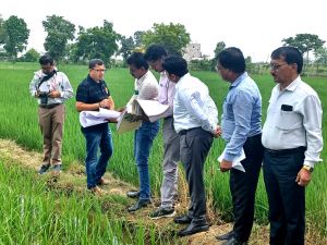 गिरदावरी करने खेत में उतरे कलेक्टर संजीव झा गिरदावरी करने खेत में उतरे कलेक्टर संजीव झा