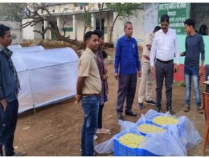 फूड ग्रेड महुआ फूल के संग्रहण से मिल रहा अतिरिक्त मुनाफा और रोजगार फूड ग्रेड महुआ फूल के संग्रहण से मिल रहा अतिरिक्त मुनाफा और रोजगार