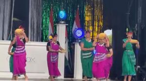 छत्तीसगढ़ियों ने लंदन में ‘हाय.. डारा लोर गेहे रे’ की धुन पर किया नृत्य छत्तीसगढ़ियों ने लंदन में ‘हाय.. डारा लोर गेहे रे’ की धुन पर किया नृत्य