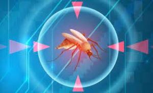  अभी तक रायपुर जिले में डेंगू से एक भी मौत नहीं