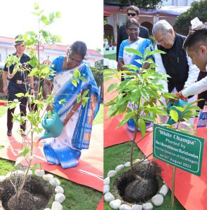  राष्ट्रपति श्रीमती मुर्मु और राज्यपाल श्री हरिचंदन ने वृक्षारोपण किया