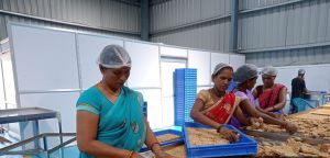 ग्रामीण औद्योगिक पार्क अरमुरकसा में वृहद पैमाने पर किया जा रहा है मिलेट चिक्की का उत्पादन