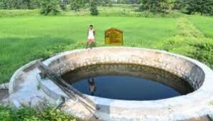 महात्मा गांधी नरेगा योजनांतर्गत निर्मित कुआं से लहलहा रही फसलें