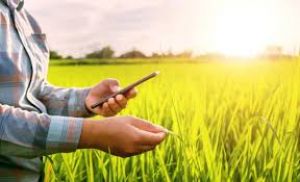 निजी एवं सहकारी विक्रेता ‘पास मशीन’ के द्वारा ही उर्वरक का विक्रय करें : कृषि विभाग निजी एवं सहकारी विक्रेता ‘पास मशीन’ के द्वारा ही उर्वरक का विक्रय करें : कृषि विभाग