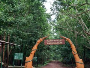 हरी-भरी वादियों के बीच प्राकृतिक खूबसूरती को समेटा कांगेर घाटी राष्ट्रीय उद्यान हरी-भरी वादियों के बीच प्राकृतिक खूबसूरती को समेटा कांगेर घाटी राष्ट्रीय उद्यान