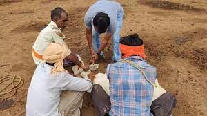  निगम क्षेत्र में पशुओं का एनिमल टेगिंग शुरू किया गया
