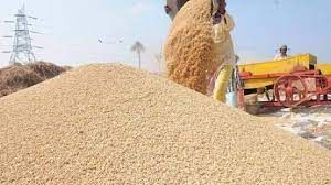 केन्द्र सरकार ने धान उपार्जन के लिए अनिवार्य किया है बायोमेट्रिक सिस्टम केन्द्र सरकार ने धान उपार्जन के लिए अनिवार्य किया है बायोमेट्रिक सिस्टम