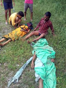 कोरबा में हाथी के हमले में दो महिलाओं की मौत, एक घायल कोरबा में हाथी के हमले में दो महिलाओं की मौत, एक घायल