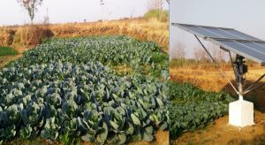 सौर सुजला योजना से जिले के 5230 किसानों की जिंदगी में फैली हरीतिमा