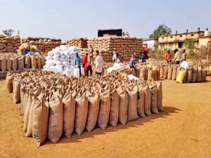 कलेक्टर ने अधिकारियों के साथ धान परिवहन केंद्राें का निरीक्षण किया कलेक्टर ने अधिकारियों के साथ धान परिवहन केंद्राें का निरीक्षण किया