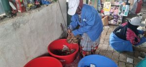  स्वच्छ भारत मिशन: शहरों की तर्ज पर गांवों में हो रहा काम